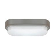   Strühm Pablo LED L – Modern Ovális Kültéri Mennyezeti Lámpa, 12W, 4500K, Sötétszürke (IP65)