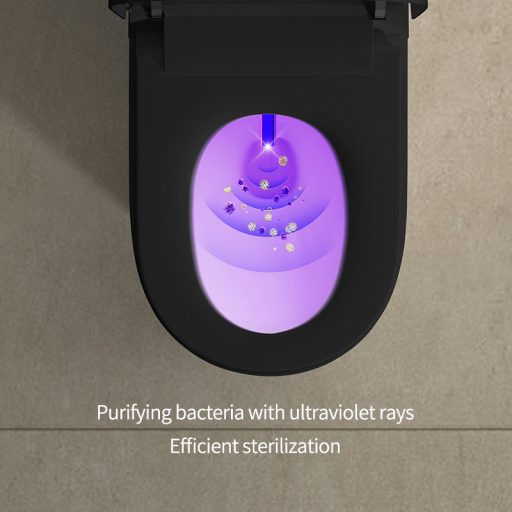 T9013 Padlón álló Monoblokk okos WC – Matt Fekete, beépített víztartállyal és bidé funkcióval